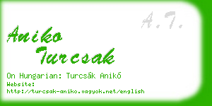 aniko turcsak business card